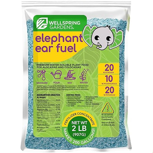 Wellspring Gardens Elephant Ear Fuel Fertilizer - Water-Soluble Fertilizer - 20-10-20 Blend - Elephant Ear Food - Plant Food - Elephant Ear Plant Fertilizer - Premium Blend for Plants (2 Pounds)