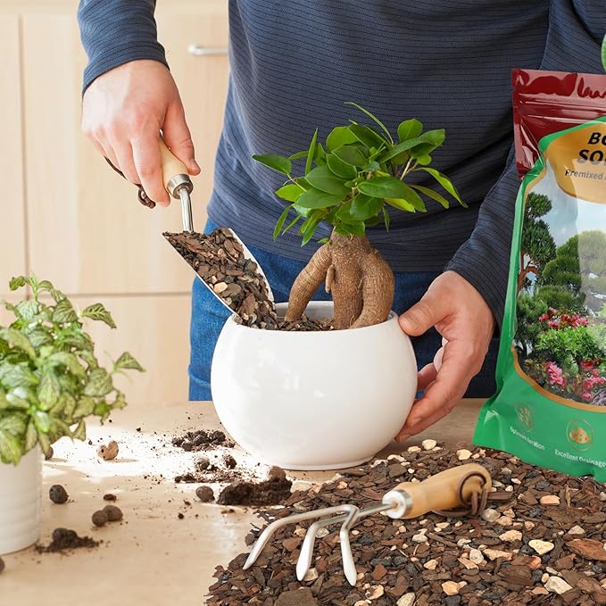 Bonsai Soil Mix 4qt, Potting Soil Mix Ready to Use for Bonsai Tree and Indoor Plants, Composed of Akadama, Lava Rock, Prumice, Bark