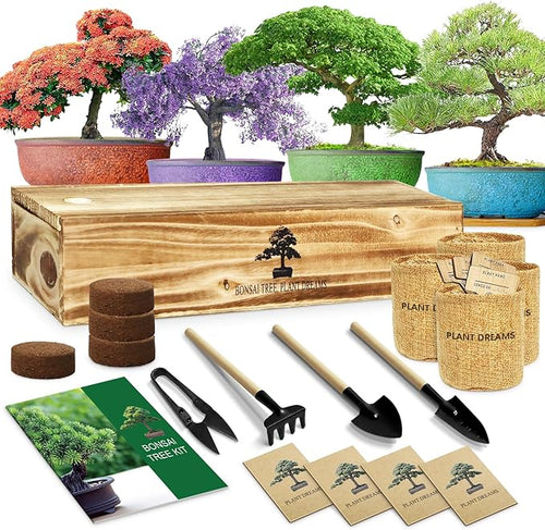Bonsai Tree Kit, Bonsai Starter Kit for Growing Bonsai Plants with Tools, Grow Bonsai Tree Live Indoor, Garden Crafts Hobby Kits, Unique DIY Gardening Gifts for Men Women Mother