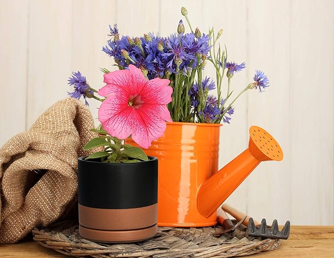 D'vine Dev Set of 4 Small Ceramic Plant Pots, 4.6 Inch Succulent Planter Pot for Plants with Drainage Hole and Saucer, Black/Speckled Tan, 94-X-B-7