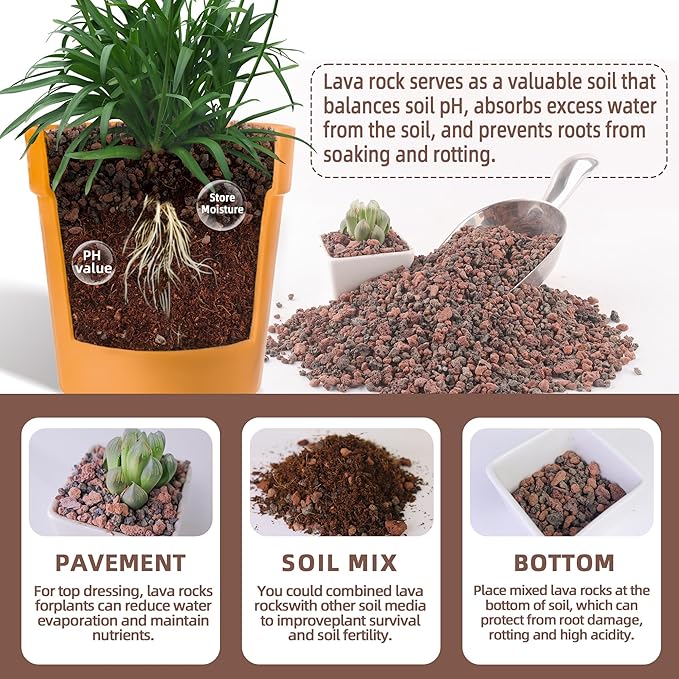 7lb Mix Lava Rocks for Plants-Horticultural Volcanic Rock Gravel for Landscaping Plants Drainage, Succulents, Bonsai, Vase Fillers, Terrarium Plants, Top Dressing