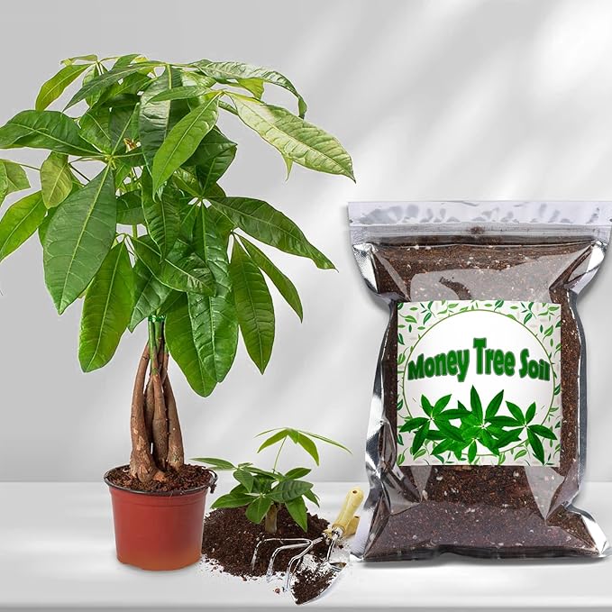 Organic Money Tree Soil Mix 2qt, Indoor Plants Potting Mix for All Potted Money Tree, Grow Healthy houseplants Indoors