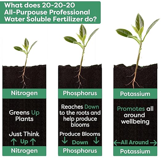 20-20-20 Water-Soluble Fertilizer β Powder for Liquid Plant Food for Indoor & Outdoor Plants, Orchids, Vegetables, Lawns, Flowers β 20 20 20 Fertilizer (3 QUARTS)