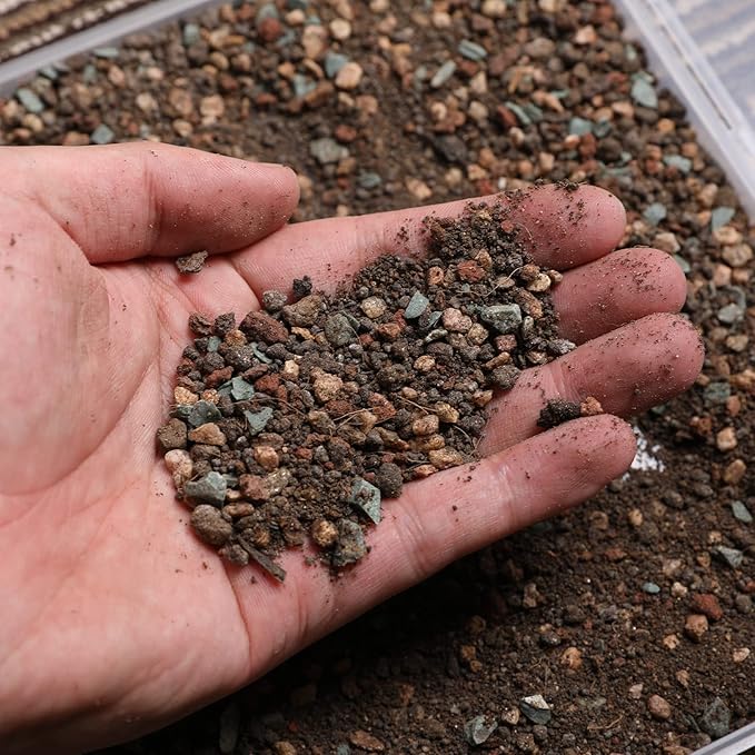 Succulent and Cactus Soil Potting Mix 5.5 LBS, Bonsai Soil Mix Ready to Use, Fast Draining with Added Nutrients