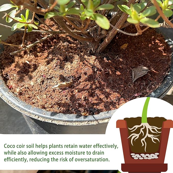 Coco Coir for Organic Coconut Coir- 12 Pack Coco Coir Brick- Coconut Soil with Low EC & PH Balance-Coco Fiber for Herbs& Flowers- High Expansion-Renewable Coco Soil for Planting