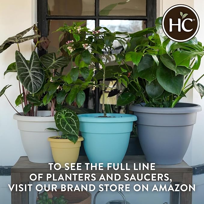 The HC Companies Caribbean Planter Pot - Outdoor & Indoor Plant Pot with Drainage Hole & Plug - Rolled Rim Plastic Pots for Plants & Flowers - Decorative Plant Pot (6" Clay, Pack of 4)