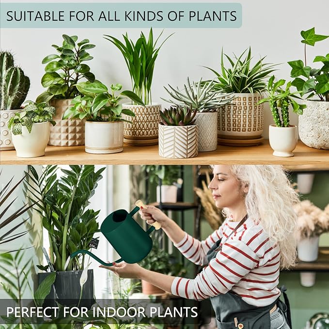 Watering Can Indoor Plants, 35oz Small Watering Can Indoor Stainless Steel Metal Watering Can Modern Decorative Watering Pot with Long Spout for Indoor House Plant Bonsai Garden Flowers (Alpinegreen)