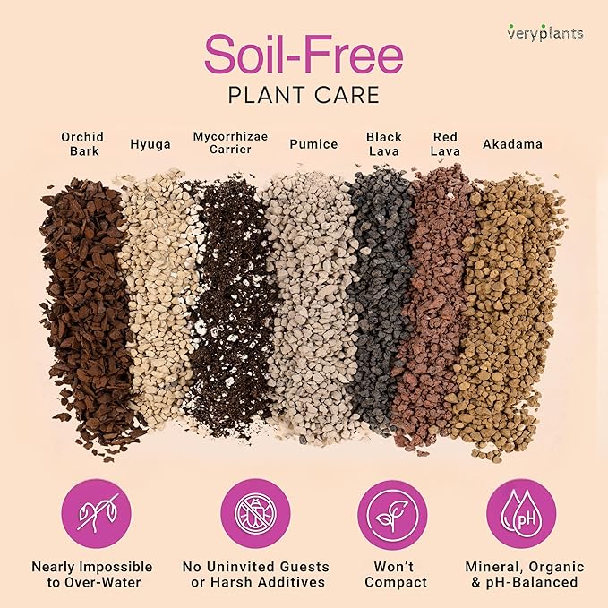 Molly's Succulent Mix - Premium Gritty Soilless Potting Mix for Succulents, Cactus and Bonsai - Contains Akadama, Hyuga, Bark Fines, Pumice, Lava Rock, Mycorrhizae 5 Dry Quarts