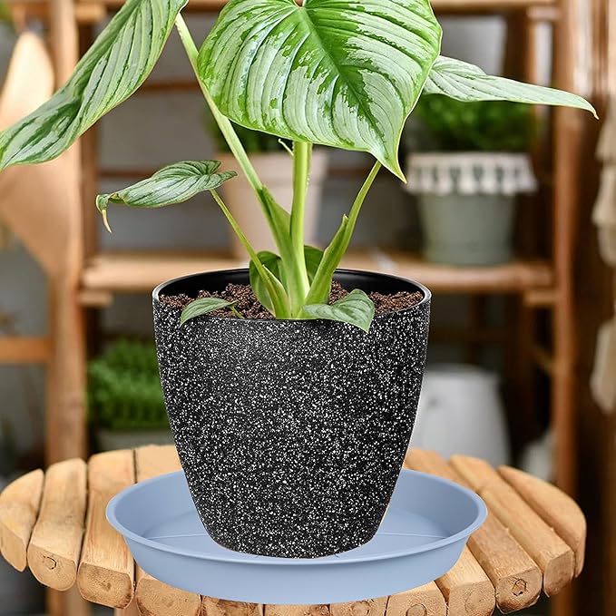 6 Pack of Plant Saucer Tray 9 10 inch, Heavy Duty Plastic Pot Plant Drip Trays Saucers for for Indoors Outdoor, Plant Water Tray for Planters 9-10" (10", Light Gray)