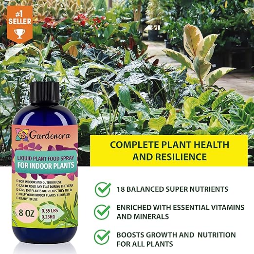Plant Growth Superfood for Succulents & Cactus with 18 Vitamins & Minerals - Organic Plant Food Fertilizer - Micro-Fungi and Bio-Organisms for Cactus Plant Care & Growth Enhancement - 32oz
