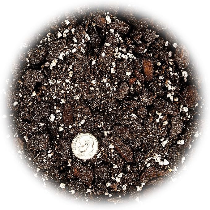 Professional Succulent Soil Premium All Purpose Blend | Pre-Mixed Ready to Use for Cactus and Succulents | Sphagnum Peat Moss, Perlite, New Zealand Pine Bark - Made in USA - 3 Quart