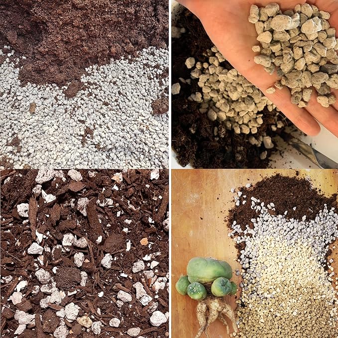 12QT Horticultural Pumice for Plants Professional Sifted - for Succulents, Cactus, Bonsai Plants - 3/8 inch (12QT)