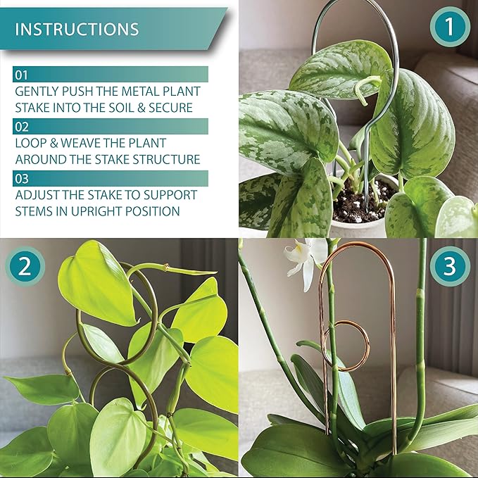 Small Metal Trellis for Indoor Plants Metal Plant Stake for Climbing House Plants Plant Support for Potted Plants Orchids, Monstera, Pothos, Ivy, Hoya, Philodendron Set of 4 (Brushed Gold)