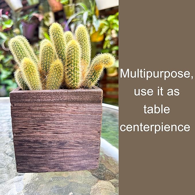 LaLaGreen Wood Planter Box for Plants (2 Pack, 4x4 Inch) Small Square Wall Planters for Indoor Plant, Window Hanging Flower Pot Wooden Boxes for Table Centerpiece Herb Balcony Home Garden Office Decor