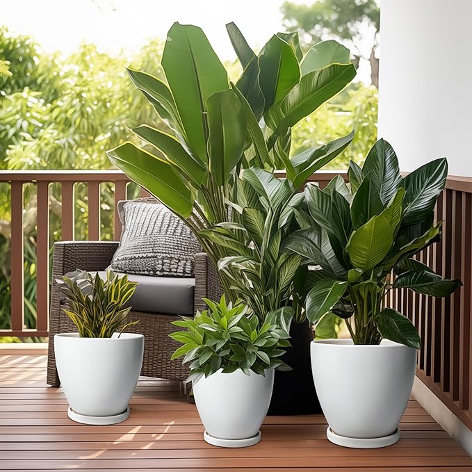 Ceramic Pots for Plants - 6 Inch Plant Pot with Drainage Hole and Saucer, Succulent Round Flower Planters for Indoor, Home Decor, White