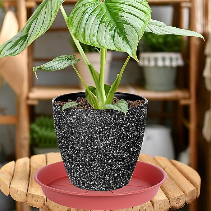 6 Pack of Plant Saucer Tray 11 12 inch, Heavy Duty Plastic Pot Plant Drip Trays Saucers for for Indoors Outdoor, Plant Water Tray for Planters 11-12" (12", Clay)