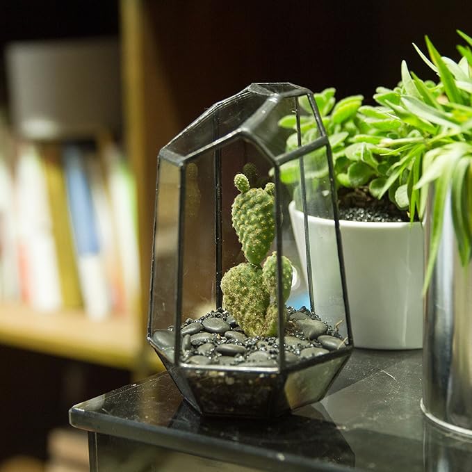 NCYP Small Geometric Terrarium - 4.1" x 3.5" x 5.9" Miniature Irregular Glass Terrarium Planter for Succulent Air Plants - Tabletop Garden Display Container, Black (No Plants, No Door)
