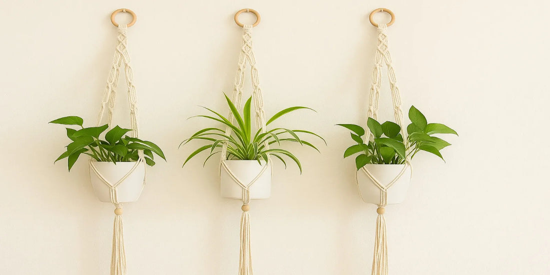 Three cream-colored macrame plant hangers with white pots and green plants hang symmetrically on a beige wall, creating a clean boho decor look.