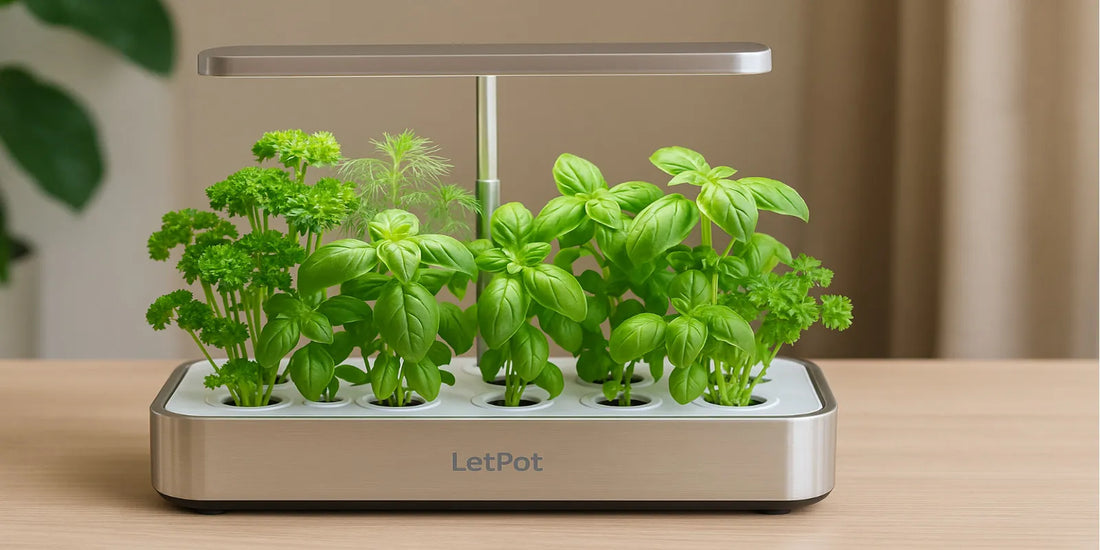 Indoor LetPot hydroponics system with 12 pods growing fresh green herbs like basil and parsley under a sleek LED grow light.