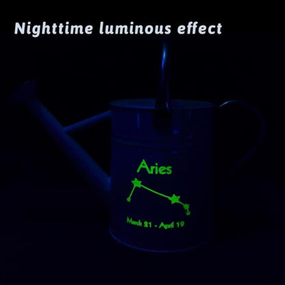 Metal Watering Can for Outdoor and Indoor Plants, Watering Can Decor, 1 Gallon (Aries)