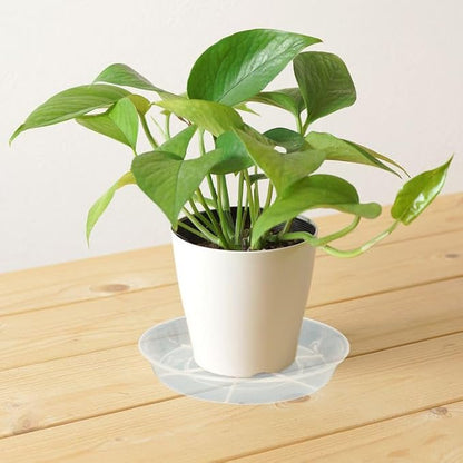 6 Pack Plant Saucer Drip Tray, 4 5 6 8 9 10 12 14 16 18 inch, Heavy Sturdy Plastic Planter Flower Pot Saucers for Indoor Outdoor Garden, Plant Water Drip Trays for pots Base (4", Clear)