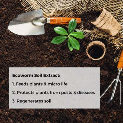 Ecoworm Soil Extract Organic Vermicompost Fertilizer for Indoor and Outdoor Flowers - 35 fl oz (Makes 53 gallons)