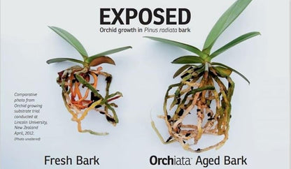 Orchiata Orchid Bark | Orchid Bark for Plants 100% Pure New Zealand Pinus Radiata | Classic ¼” to ⅜” Organic Potting Orchid Bark for Aeration and Longevity