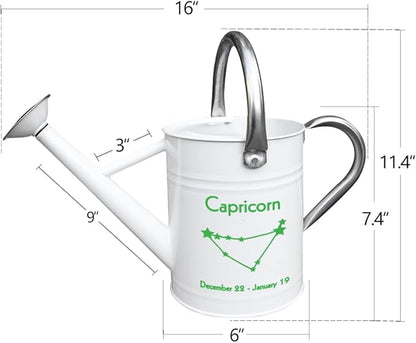 Metal Watering Can for Outdoor and Indoor Plants, Watering Can Decor, 1 Gallon (Capricorn)