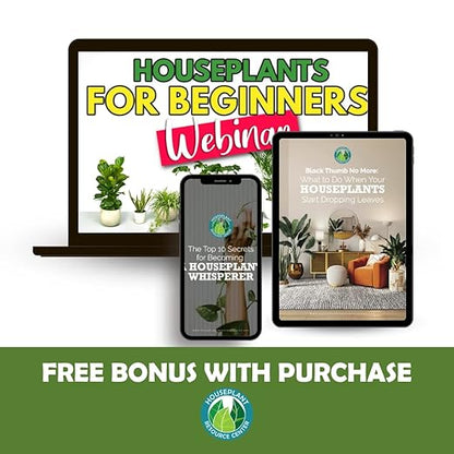 Premium Indoor Plant Soil with Enhanced Drainage and Optimal Nutrient Content for Healthy Plant Roots and Fast Growth - Houseplant Resource Center