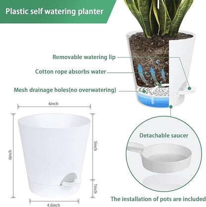 Wall Planters for Indoor Plants 3 Pack 6 Inch Flower Pot Holders Metal Ring with Self Watering Pots Wall Hanging Planters Gold-White