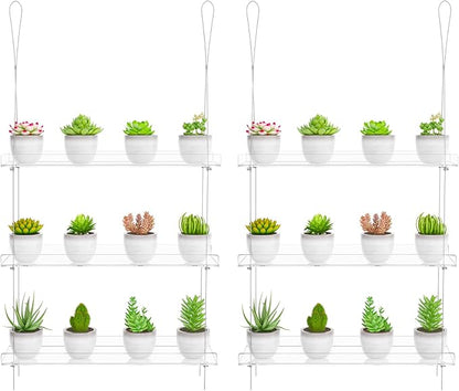 Clear Hanging Window Plant Shelves,2-Pack 3-Tier,Indoor Windows Wall Hanging Plant Stand Flower Display,Flower Pot Organizer Storage for Window Grow Herbs,Microgreens,Succulents,Flower,16-Inch