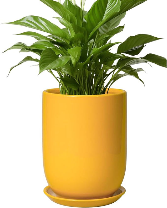 Plant Pot 8 Inch - Ceramic Plant Pot with Drainage Hole and Saucer Large Planter for Indoor Plants Outdoor Modern Flower Pot for Home Garden Decor Yellow