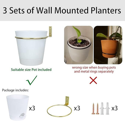 Wall Planters for Indoor Plants 3 Pack 6 Inch Flower Pot Holders Metal Ring with Self Watering Pots Wall Hanging Planters Gold-White