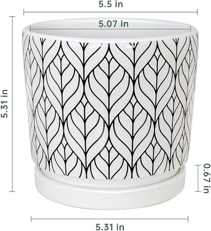 Ton Sin Plant Pots,5.5 Inch White Pots for Indoor Plants with Drainage Holes,Cylinder Flower Pot Ceramic Planters with Saucer,Cactus Succulent Outdoor Garden Pots Set of 4