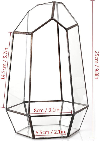 NCYP Geometric Glass Terrarium Planter for Succulent, Small Cacti - 6.5" x 5.7" x 9.8" Black Irregular Opened Container Pot, Indoor Home Garden Office Tabletop Decor (No Plants, No Door)