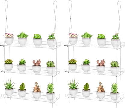 Clear Hanging Window Plant Shelves,2-Pack 3-Tier,Indoor Windows Wall Hanging Plant Stand Flower Display,Flower Pot Organizer Storage for Window Grow Herbs,Microgreens,Succulents,Flower,16-Inch