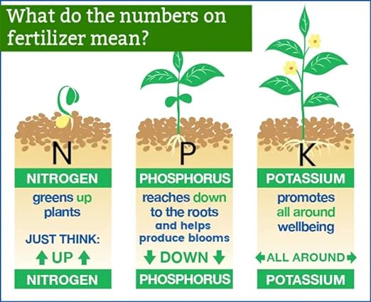 All Season Palm, Ixora, and Ornamental Plant Food (8-4-8 Fertilizer) by Gardenera - Enhance The Health and Resilience of Your Ornamental Plants - 2 QUARTS