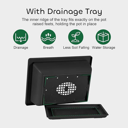 GROWNEER Bonsai Training Pots with Drainage Trays 3 Packs 6.5 Inch, Durable Bonsai Tree Starter Set Kits with Repotting Mat Small Indoor Outdoor Growing Pot Rectangle Planter, Built in Mesh
