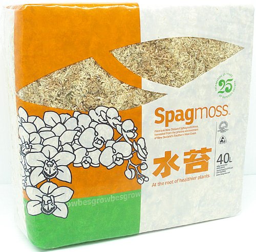 Premium New Zealand Sphagnum Moss, 500g (40L When Hydrated) - Harvested Sustainably from The Pristine West Coast of New Zealand's South Island