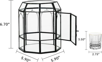 Ferrisland Glass Terrarium Plants with Lid, Black Geometric Terrarium Jar for Succulent Air Carnivorous Plant Moss Snail, Birdcage Shape Tabletop Greenhouse Indoor Decor DIY Presents (Only Terrarium)