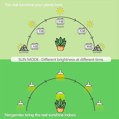 Smart LED Grow Light Bulbs with Remote Controller, Sun Simulation Mode, Built-in Auto Timer, A21/A70 E26/E27 9W Dimmable Full Spectrum Intelligent Plant Grow Bulbs for Indoor Plants, 6 Pack