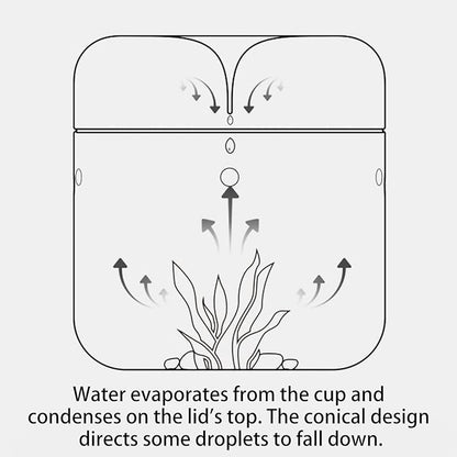 SARUFO Small Glass Plant Terrarium 4.7"X7" Inches Succulent Air Planter Fern Moss Micro-Landscape Vase for Home Garden Office Tabletop Decoration Container with Lid Indoor Wardian Copyright Patent