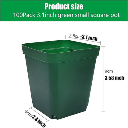Square Seedling Nursery Pots 3.15 Inches 100 Pcs for Small Succulents or Cacti Flower Plastic Pots Sturdy Reusable (Green, 3.14Inches,100Pcs)