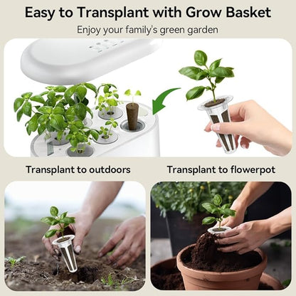 inbloom Fragrant Bouquet Seed Pod Kit for AeroGarden, iDoo, Ahopegarden, GARDENCUBE, 12 Pods (350+ Flower Seeds with Sunflower, Petunia, Mexican Marigold, Cockscomb, French Marigold, Dahlia)