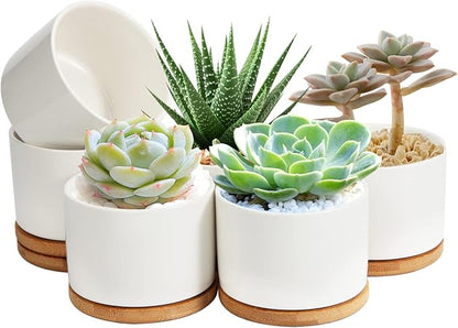 ZOUTOG Plant Pot 4 Inch, Ceramic Succulent Pots with Drainage Hole & Bamboo Tray, Pack of 6 White Small Flower Pots for Home, Office, Indoor or Outdoor Decor - Plants Not Included