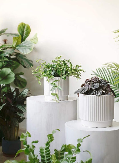 LE TAUCI Ceramic Plant Pots with Drainage Holes, Set of 3, 8+6.7+5.5 Inch Stripe Garden Planter Pots for Outdoor Indoor Plants Flower, Round Succulent Orchid Flower Pot, Small to Large Size, White