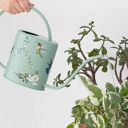 Watering Can for Indoor House Plants - Cute Decorative Metal Gardening Small Water Can for Houseplants & Flowers with Long Spout - 1.5L 51floz 0.4 Gallon (Hummingbird Sage)
