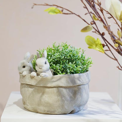 Newman House Studio Spring Bunny Flower Pot Easter-Decor - Decorative Garden Pots Cactus-Succulents Bunny Flower Pots Indoor Outdoor Plant Pots for Home Farmhouse Décor 7.5 * 7.4 * 6.1 Inch