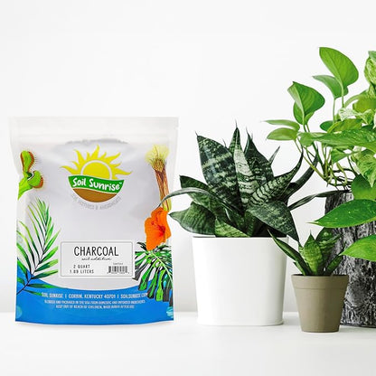 Horticultural Charcoal for Indoor Plants (2 Quarts), Hardwood Soil Additive for Orchids, Terrariums, and Gardening