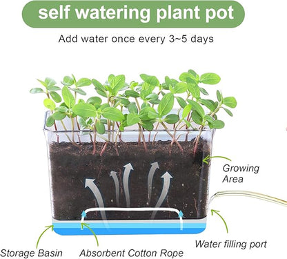 Self Watering Planters for Indoor Plants, 4 Pack Rectangular Clear Plant Pots with Drainage Holes for Spider Plant African Violet, Plant Growth Observations Plant Box for Kids